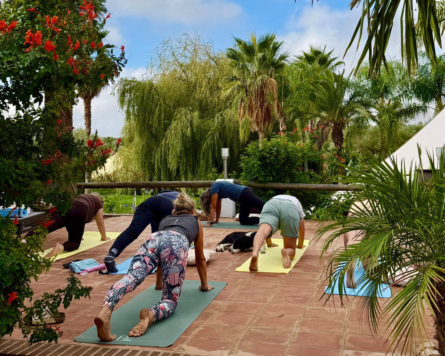 Stellplatz für Wohnmobile, Wohnwagen und Camper