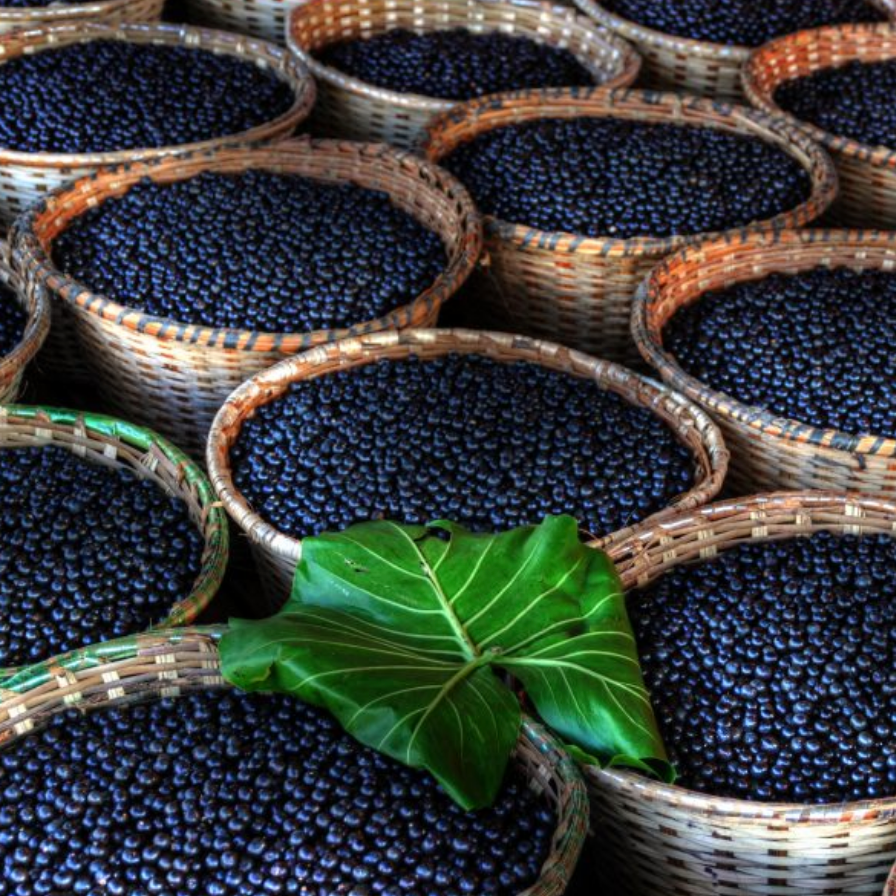 Organic - Hand Lifting with Açai Oil