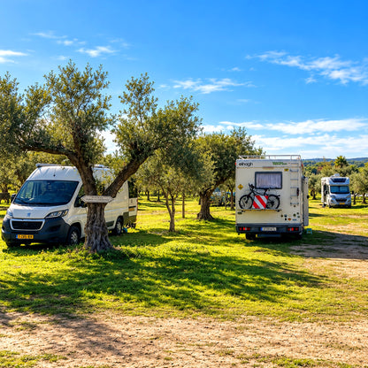 Pitch for Campervan, Motorhome & Caravan
