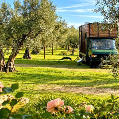 Pitch for Campervan, Motorhome & Caravan