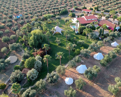 Monte das Louzeiras Glamping | A Nature, Wine & Well-Being Escape in the Alentejo
