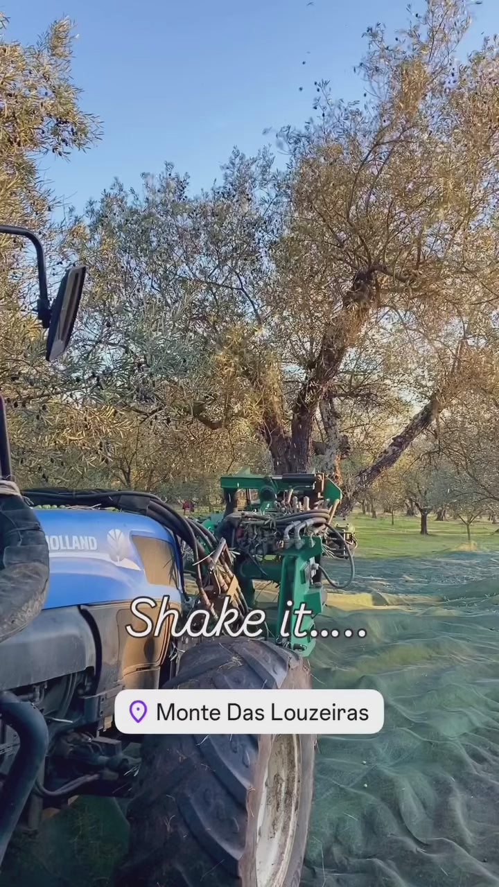 Load video: 